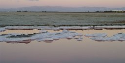 Salt-3.jpg