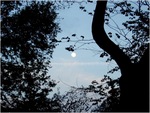 Moon20050422-02-r
