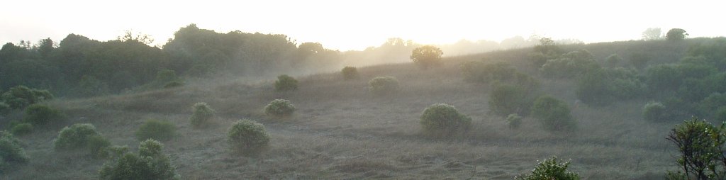 PB240244-crop.jpg