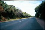 Road.
 Sorrento ; 2002/01/29