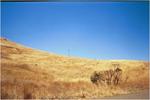 In the middle of nowhere, in the middle of the day.
 Bonnie Doon ; 2002/01/31