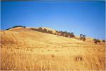 Next to nowhere, nearer to the evening. By now, the temperature is bearable.
 Bonnie Doon ; 2002/01/31